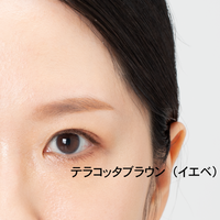 【数量限定】3D-PRO EYEBROW PENCIL&POWDER(3D-プロ アイブロウペンシル&パウダー )